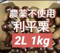 利平栗 果物