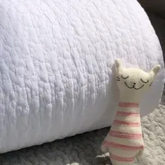 Item thumbnail for item bd907385-12a1-41b6-9ac6-0e8f72d5fa27