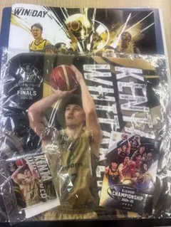 Item thumbnail for item 59be2800-7db8-4d82-8cb2-e119b91ea442