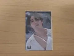 Stray Kids MAXIDENT タワレコ トレカ ハン