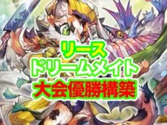 リースドリームメイト