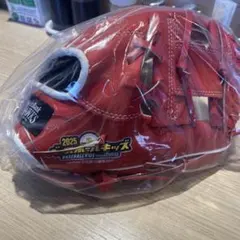 ソフトバンクホークス 野球グローブ ベースボールキッズ2025 ジュニア向１個