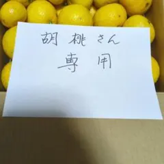 2025年最新】クルミ 苗の人気アイテム - メルカリ