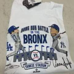 Item thumbnail for item f9c695d8-a5a2-49ca-93f3-cdba4d6d304d