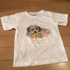 110 美品　GLOBAL WORK 犬と花のTシャツ