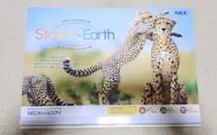 Item thumbnail for item f7a9a4be-a33b-4892-89b1-9f2976eccc7b