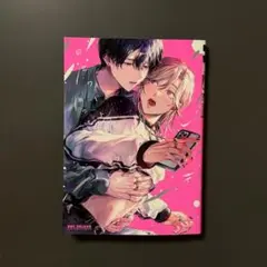 初恋ワードローブ (ビーボーイコミックスデラックス) 雨ウオ (著)