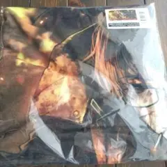 キズナ ジャンボバスタオル 未開封 武豊 ウマ娘 - メルカリ