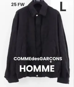 2025年最新】COMME des GARCONS HOMME メンズ ジャンパー