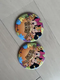 ミッキー ミニー セレブレーション ピンバッジ 2個セット　香港ディズニー