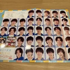 IMP. ジャニーズJr メッセージカード 厚紙カード Myojo