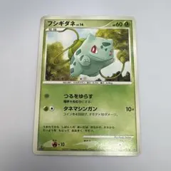 フシギソウ 旧裏 旧裏面 イントロパック フシギダネデッキ 002【5950
