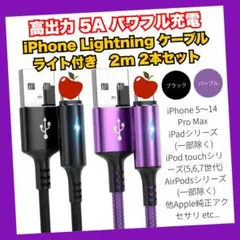 iPhone Lightning ケーブル 充電器 2m 2本セット Apple
