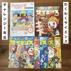 2025年最新】チャレンジ1年生2022の人気アイテム - メルカリ