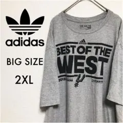 NIKE ナイキビッグサイズNBAプリントTシャツ　バスケットボール古着女子
