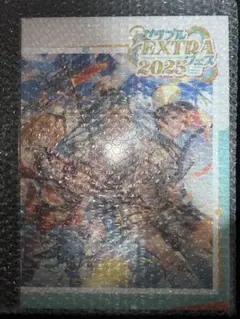 2026年最新】グラブルextraフェス パンフレットの人気アイテム - メルカリ