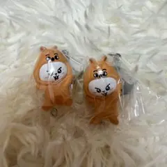 Stray Kids スキズ skzoo リービット