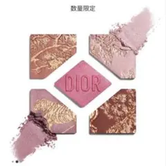 Dior ディオールショウ　サンク クルール 974