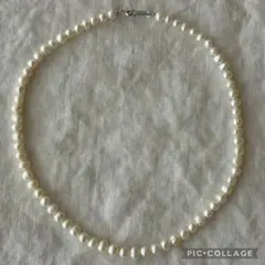 本真珠 淡水パール ネックレス 約6mm 41cm SILVER刻印 ピンク系 - メルカリ