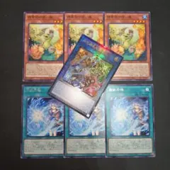 遊戯王　四花繚乱の霊使い　憑依共鳴　精霊術の使い魔　セット③