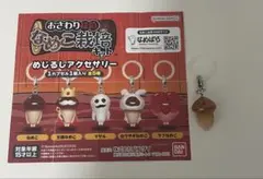 めじるしアクセサリー おさわり探偵 なめこ栽培キット