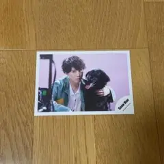 Snow Man 宮舘涼太　公式写真　キッシン　犬