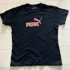 Item thumbnail for item 3e4b2bc7-b5a3-4b4f-b642-ecc1420e98d4