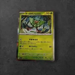 ポケモンカード 3枚セット オーガボン カジッチュ ヤバンチャ