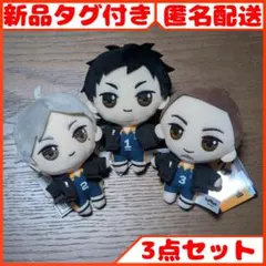 2026年最新】ハイキュー ぷちぬいぐるみマスコット vol.2の人気