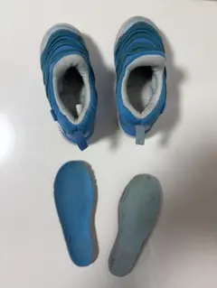 Nike ダイナモフリー