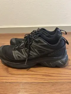 Salomon XT-6 EXPANSE 26cmのサムネイル