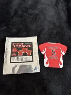 シークレットユニ型缶バッジ 5山川穂高
