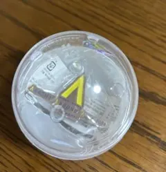 We are ARASHI 歴代ライブロゴマグネット 嵐