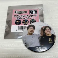中川圭太 応援グッズ