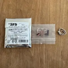【新品】名探偵コナン カスタムアクリルキーホルダーコレクションvol.1 安室透