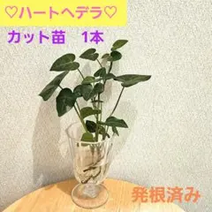 もんも様 リクエスト 2点 まとめ商品