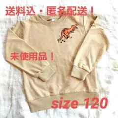 恐竜プリント ベージュ 茶色 トレーナー サイズ120