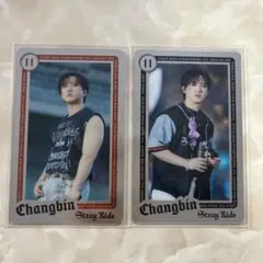 Stray Kids チャンビン dominate ライブフォトカード トレカ