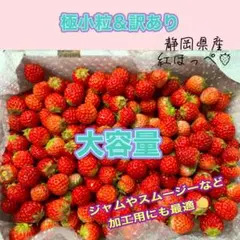 【大粒 中粒】朝採り紅ほっぺ 〜農家直送〜 いちご 4/28発送 【大容量】朝採り 紅ほっぺ 極小粒 〜農家直送〜 いちご