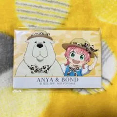 SPY×FAMILY スパイファミリー スクエア缶バッチ(26)