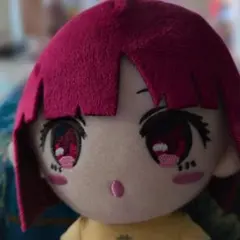 未開封】赤井はあと BIGぬいぐるみ（タイクレ限定）30cm - メルカリ