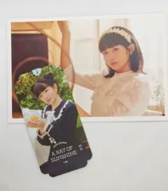 2026年最新】ive シーグリ 2022の人気アイテム - メルカリ