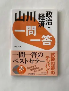 山川　政治・経済　一問一答