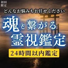 【すぐ鑑定に入れます】霊視鑑定│どんなお悩みでも心が軽くなる未来へと導きます