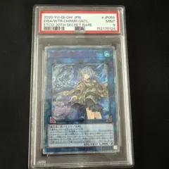 2026年最新】エリア 20th psa10の人気アイテム - メルカリ
