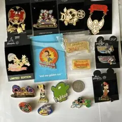 ディズニー アトラクション＆イベント ピンバッジ 限定版17個セット
