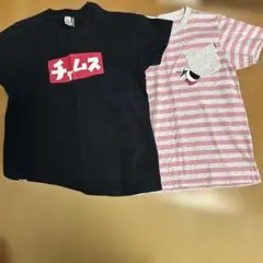 チャムス　ティシャツ　レディース　Lサイズ　2枚セットのサムネイル