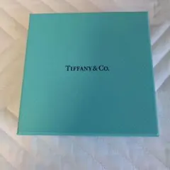 【空箱】非売品　ティファニーチョコレート ラッピング
