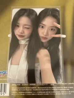 IVE ALIVE 会場限定 東京 ユジン ウォニョン アンニョンズ トレカ