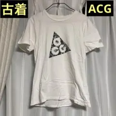 nike acg Tシャツ　古着